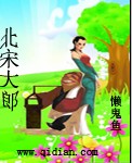 不完美的诗和远方