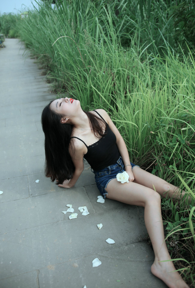 会唱歌的小蜜蜂